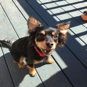 Meet your Posher, Madeline